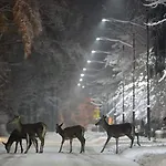Kasprowy *