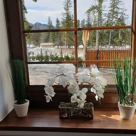 Kasprowy Apartamento Zakopane