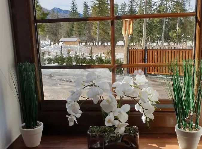 Kasprowy דירה זקופאנה